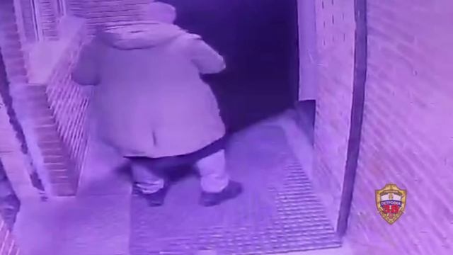 Два криминальных курьера задержаны полицейскими за содействие обману двух москвичей на 3 млн рублей