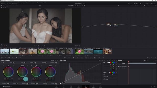 Davinci Resolve Color Grading Tutorial Malayalam | Part -1 | Shijubalagopalan | Davinci resolve 17.