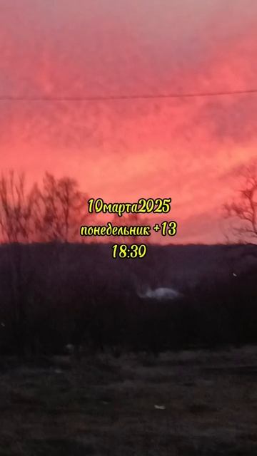 10-03-2025