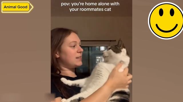 Приколы с котами! - С ОЗВУЧКОЙ! Смешные коты! Самые смешные животные! ДО СЛЁЗ!!!