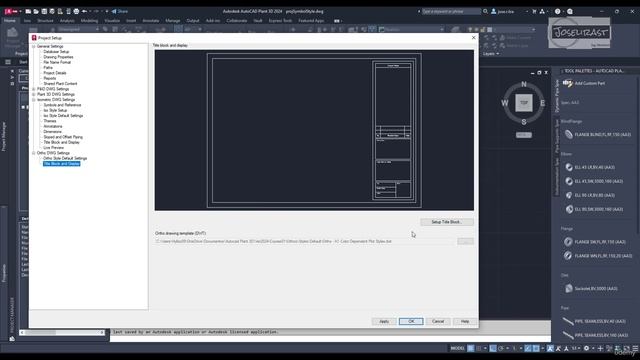 5 -Lesson 4.5- Ortho DWG Settings