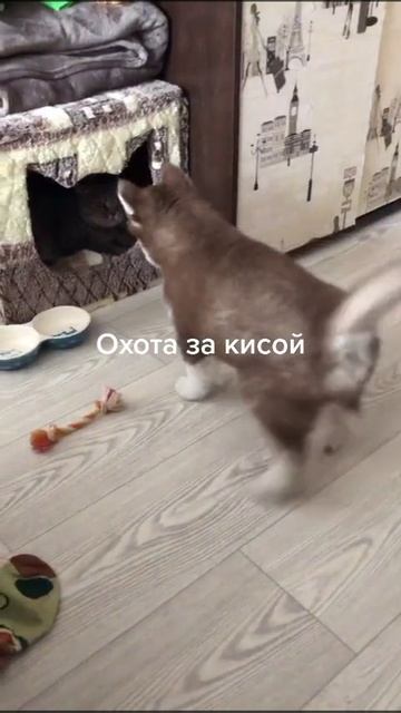1000038144.mp4