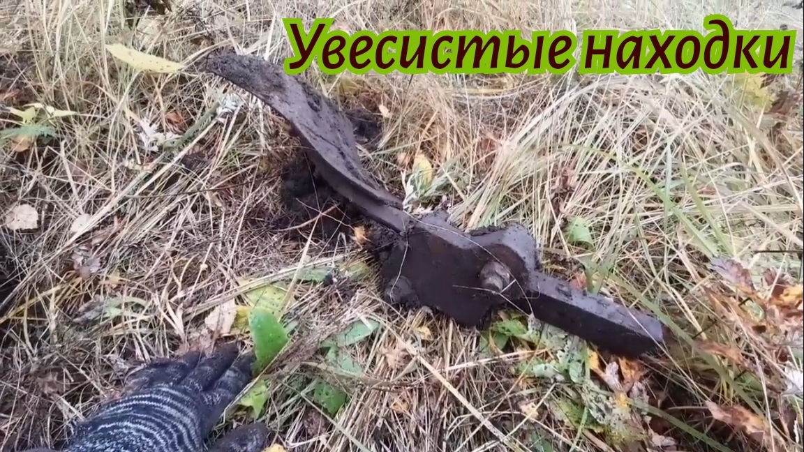 металлокоп в деревне и по краю поля