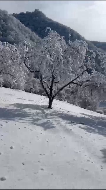 вид с гор наилучший за все свое время