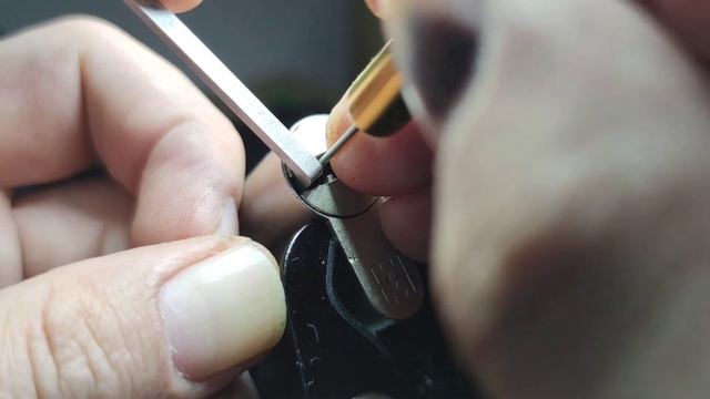 Mottura C48 picked and gutted