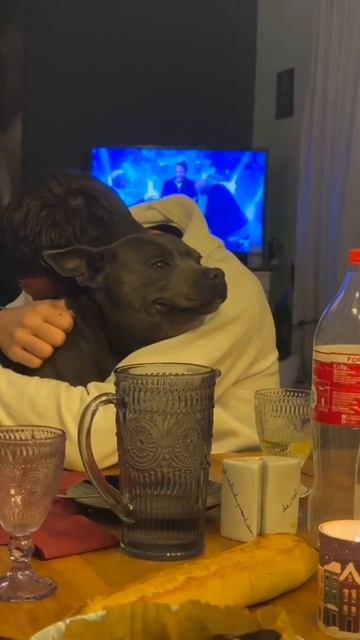 Собака улыбака😁