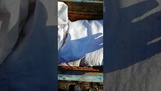 9 марта. Облет продолжается.