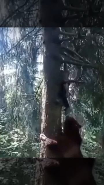 Бывает и такое