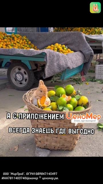 Пополняем запас витаминов