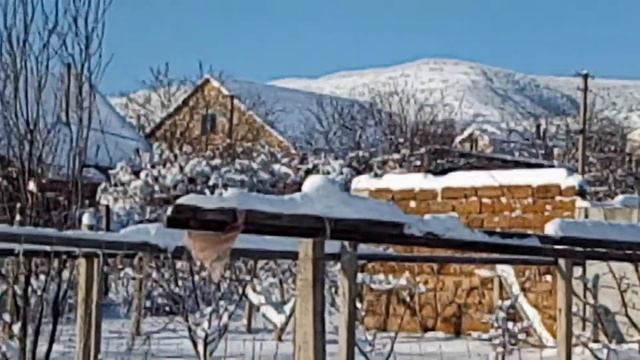 Пасека в Крыму зимой.