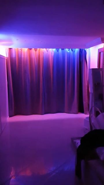 tuya smart sensore porta più attuatore più tenda elettrica automatica