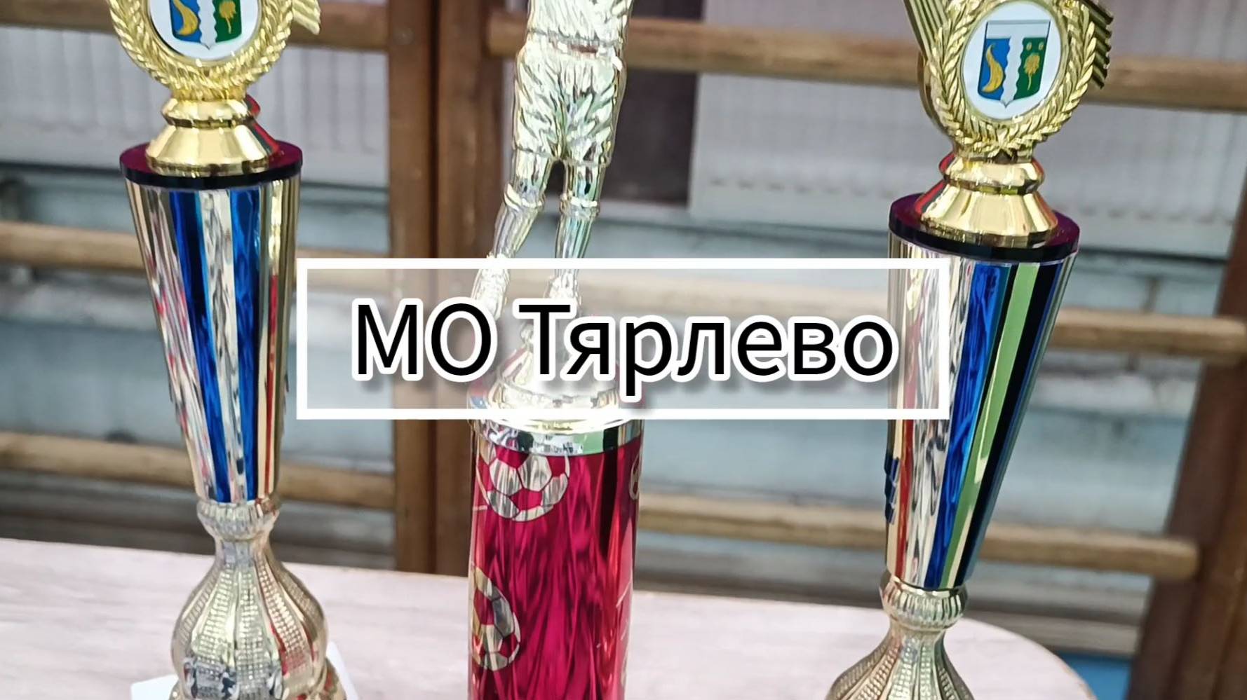 Турнир по мини - футболу на призы МО посёлок Тярлево (16.02.2025)