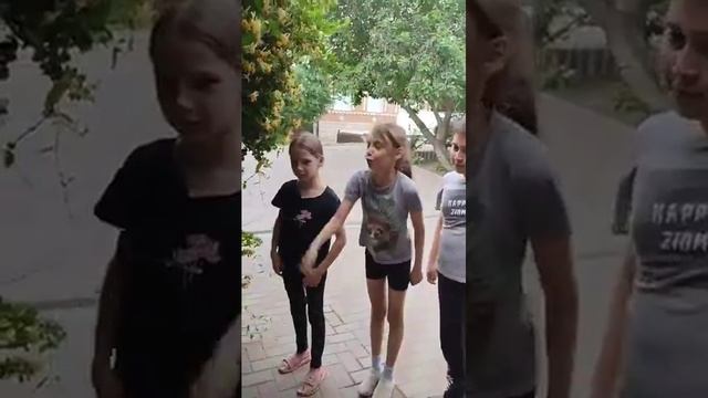 фильм лунтик и его друзья играли в футбол⚽
