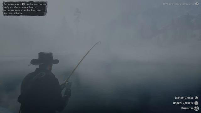 Red Dead Redemption 2 ловля легендарного лосося