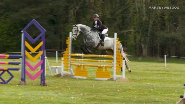 More novice eventing show jumping from Cirencester Park (2) Horse Trials 2024 #eventing