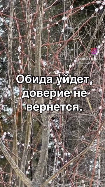 Мудрые слова