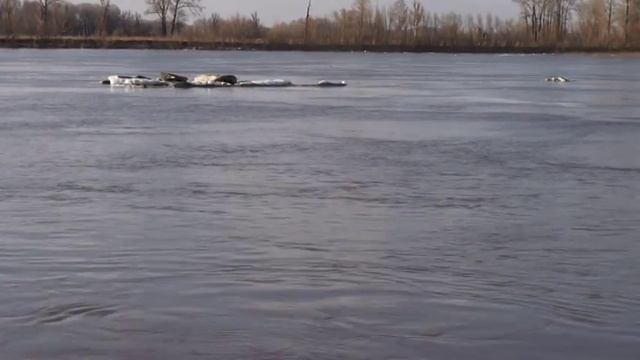 Обь протоки середина апреля