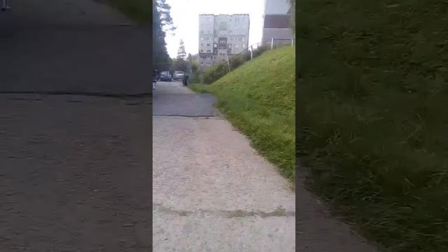 Идём са школы домой 1 сентября малый повзрослел
