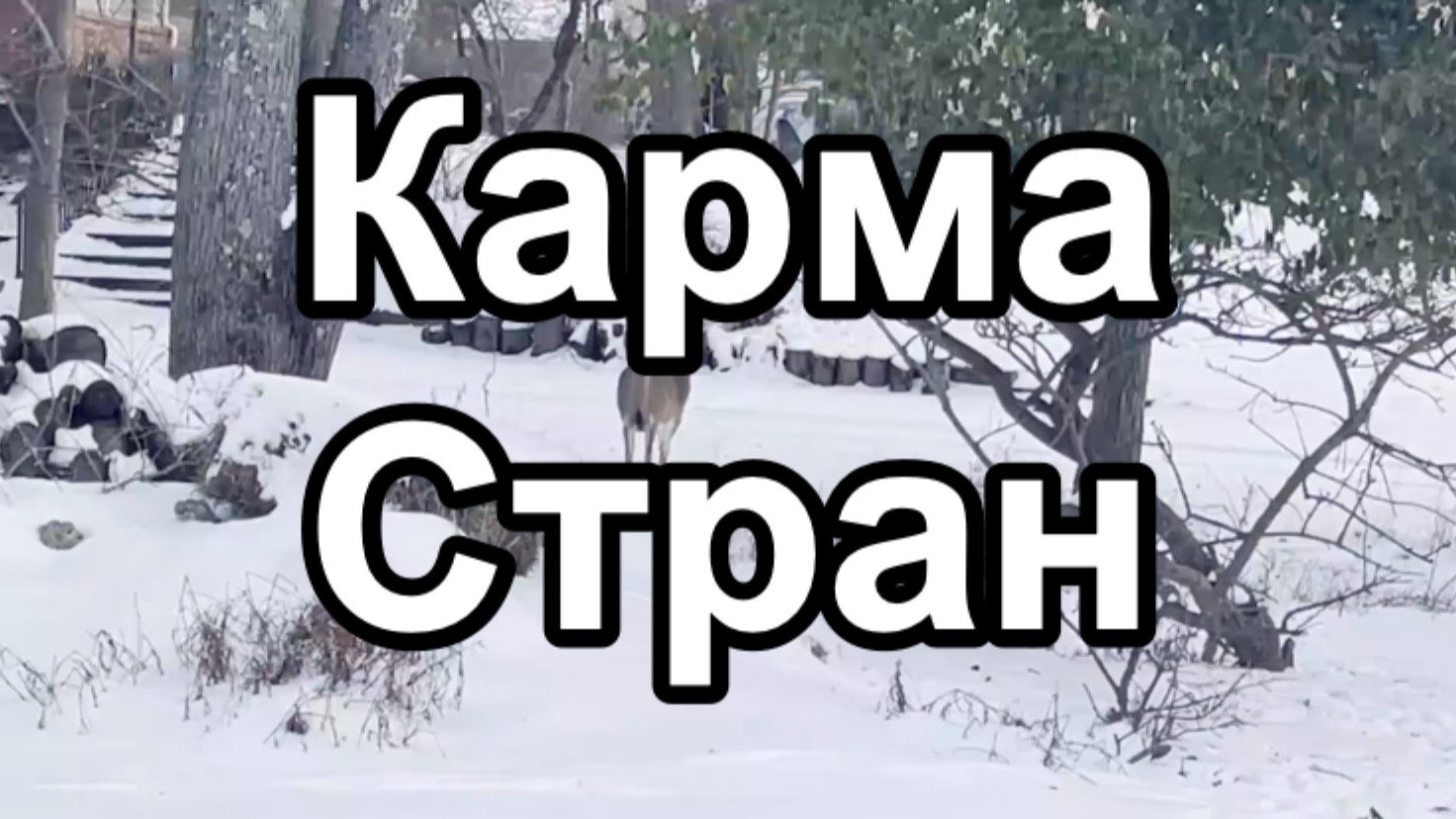 Карма стран