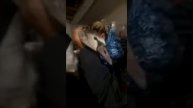 Спасенный изо льда лебедь на озере под Омском. Осмотр