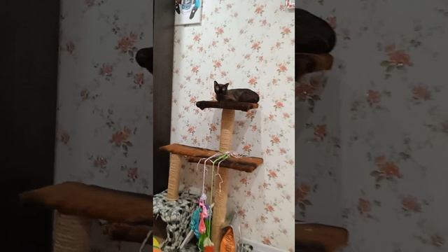 1000065917.mp4