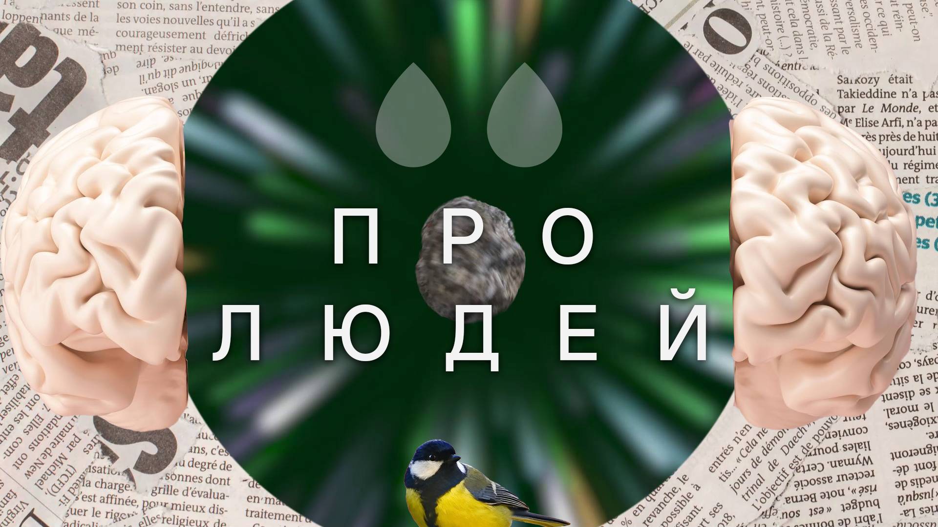 Слёзы единорога - Про людей (Official Music Video)