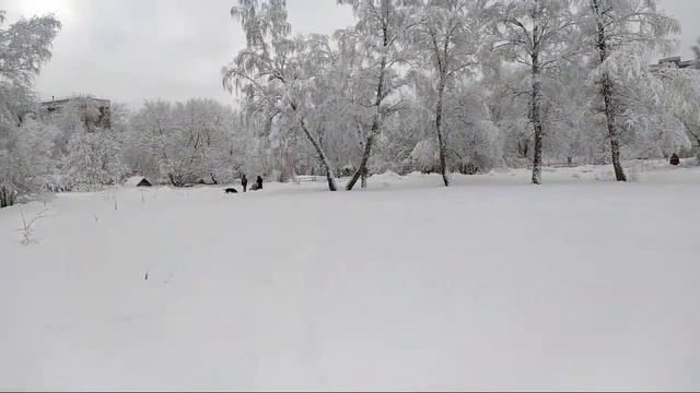 Красотища В Барнауле. Серебряная зима на Алтае. Прямой эфир.