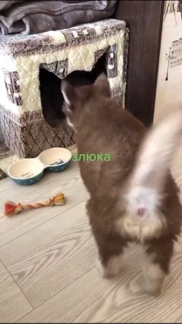 1000038145.mp4