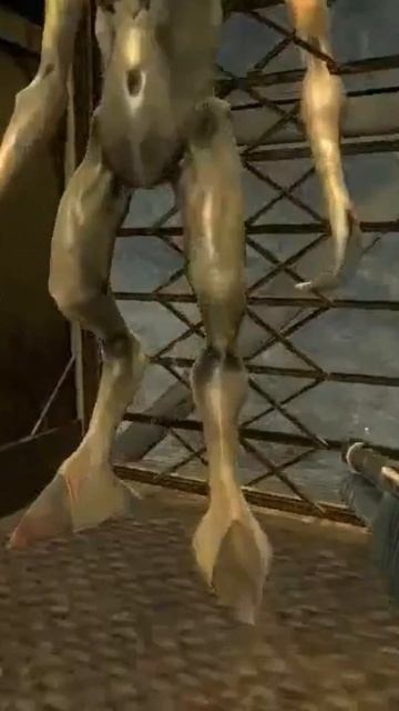 #728 HalfLife 2 - Опять чуть не съели