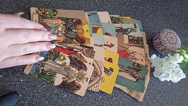 VID_20250310_084337.mp4
