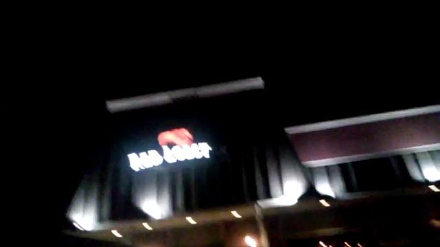My 16th vlog Red lobster 15 party