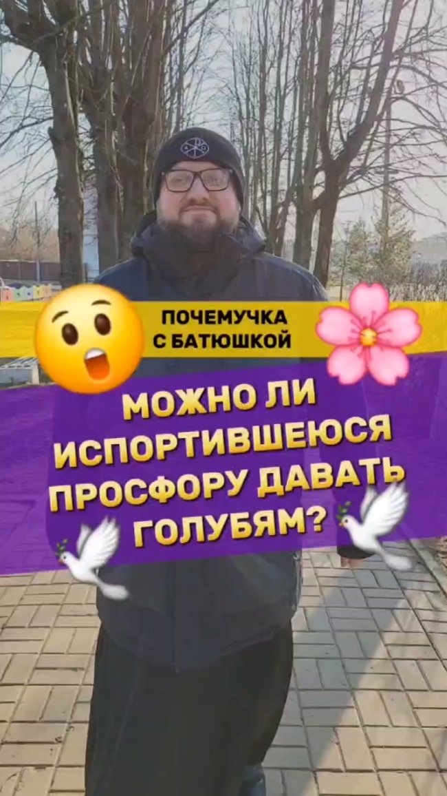 🌿🌸 Почемучка с батюшкой #почемучка #отношения #семья #любовь #юмор #религия #православие