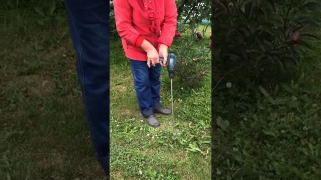 Борьба с сорняками
