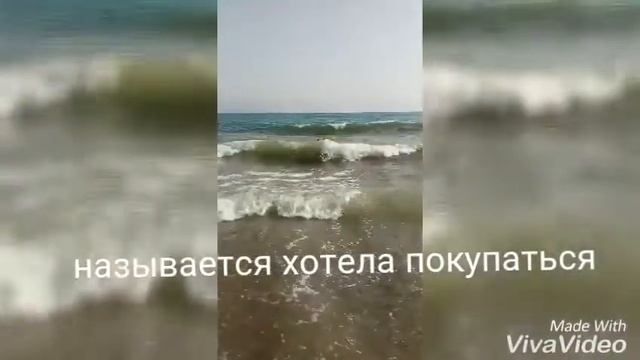 Влог Пети