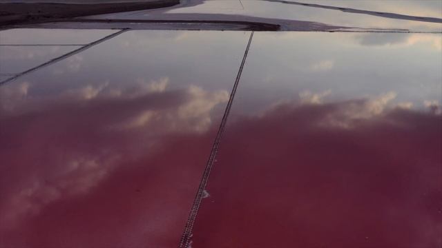 Rose Salt Lake  | Dji Mavic 2 Pro