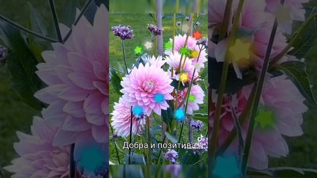 VID-20250310-WA0034