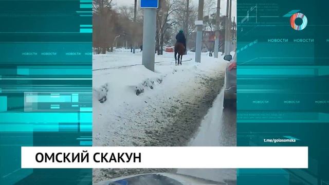 Омский скакун