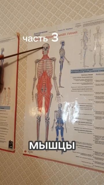 Плоскостопие и как оно влияет на наше здоровье и тело - Часть3-1