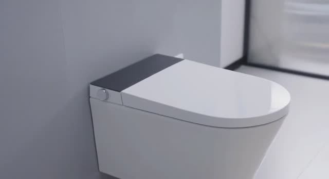 Asara toilet model 1 intro