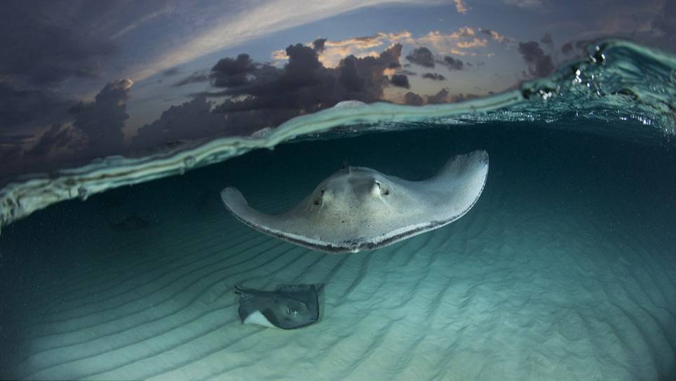 РР4 море Безымянка и 215 яма (68 серия)