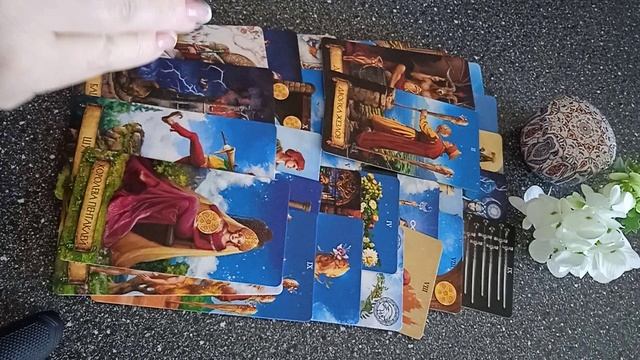 VID_20250310_090638.mp4