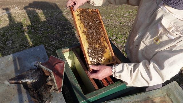 весенние работы на пасеке продолжаются