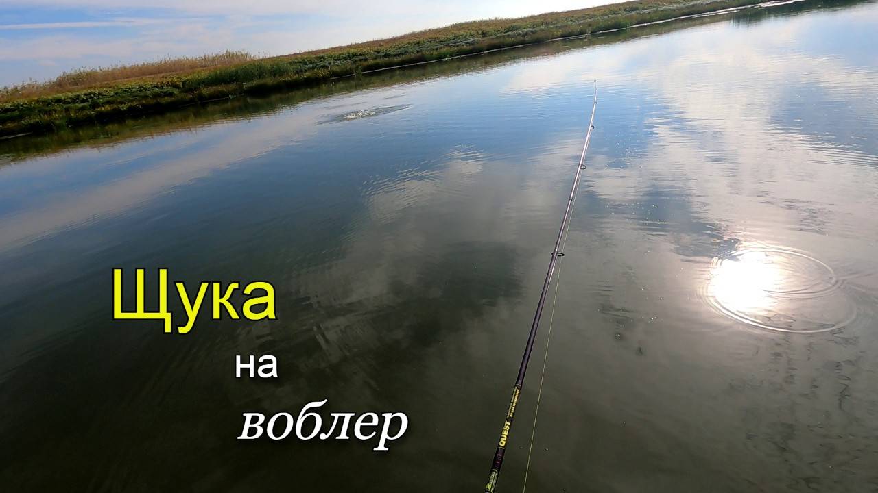 Поймал щуку на поверхностный воблер от юзури