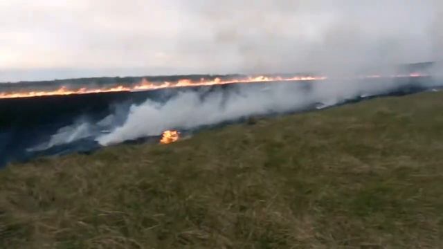 Горит поле под Казанью