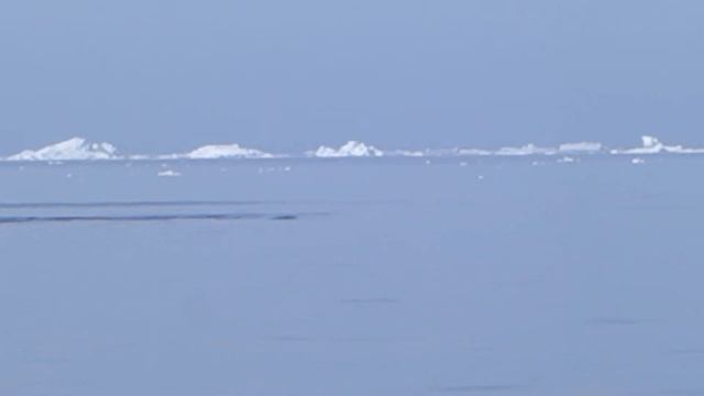 June 2017 - Greenland - Whale Watch (camera) -4