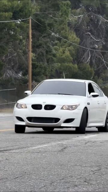 MAJORKA LOS ANGELES M5 e60 | #bmw