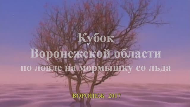 Кубок Воронежской области по ловле на мормышку со льда 2017