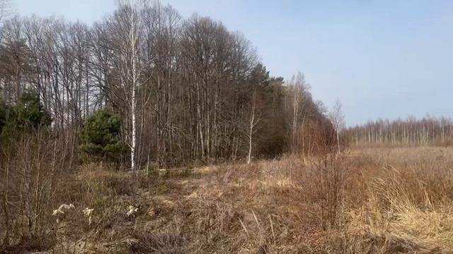 50:32:0030204:508 поселок Новоселки, земельный участок 27в