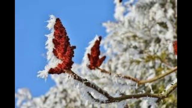 10 марта - Традиции и поверья, связанные с днем святого Тараса