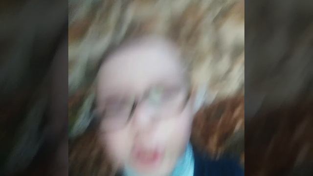 VID-20250310-WA0002.mp4